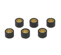 Reparatursatz für Variator VICMA VIC-3930