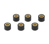 Reparatursatz für Variator VICMA VIC-4165