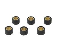 Reparatursatz, Variator VICMA VIC-4176
