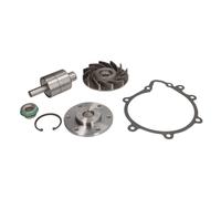 Reparatursatz, Wasserpumpe DT Spare Parts 3.90606