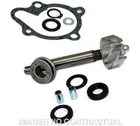 Reparaturset Für Wasserpumpe Kymco Dink 125-200 Für Motorrad Ersatzteile Zubehör