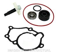 Reparaturset Wasserpumpe Yamaha XMAX 125 Für Motorrad Ersatzteile Zubehör