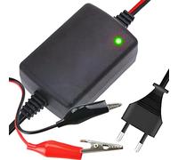 Retoo Batterieladegerät 12V 1.5A Gel Batterie KFZ Ladegerät für Oldtimer, Motorrad, Roller, Rasenmäher, Boote, LKW, PKW, Wohnwagen, Autobatterie und Motorradbatterie Ladegeräte, Ladekabel 1.3 M