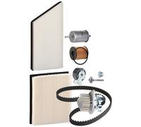 RIDEX 4682P0385 Inspektionspaket