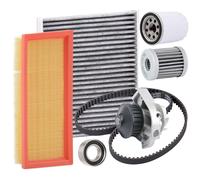 RIDEX 4682P0405 Inspektionspaket