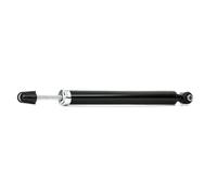 RIDEX 854S0404 2x Stoßdämpfer Gasdruck Hinten Kompatibel mit MERCEDES-BENZ C-Klasse Limousine W204 2043260200 2043260500 2043260300
