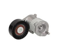 INA | Spannarm, Keilrippenriemen | 534 0273 10