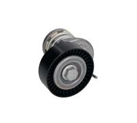 Riemenspanner, Keilrippenriemen Schaeffler INA 534 0164 10