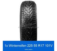 Riken Snow 3PMSF XL 225/55 R17 101V Winterreifen | 58161