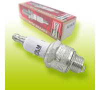 RJ19LM Champion Zündkkerze im Karton für Dolmar Briggs Toro Stiga Rasenmäher