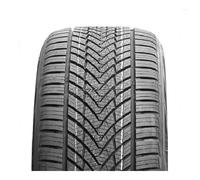 Roadking Argos All Season 3PMSF XL 225 55 16 TL 99W Ganzjahresreifen