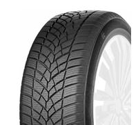 RoadX Frost Tempo 225/55 R18 102 V, Winterreifen