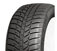 Roadx Winter-Reifen 205/55 R 16 91H WH01 3PMSF | 074595