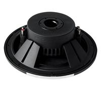 Rockford Fosgate P3SD2-12 Flat (geringe Einbautiefe)