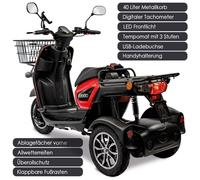 Rolektro E-Carrier „25 V.3“ Rot, ohne Koffer