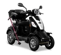 Rolektro E-Quad 25, Schwarz, 1000 Watt
