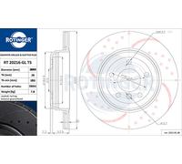Rotinger Graphite LINE SPORT-BREMSSCHEIBEN HINTEN - Passend FÜR BMW 5ER