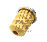 Rückstoßgummi Feder Hinterachse rechts FT18399 FAST für CITROËN FIAT PEUGEOT