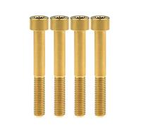 Ruifu M8 x 20 25 30 35 40 45 50 60 70 mm Titan Grade 5 Inbusschraube DIN912 für Motorrad 4 Stück (M8 x 60 mm, Gold)