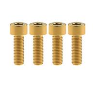 Ruifu M8 x 20 25 30 35 40 45 50 60 70 mm Titan Grade 5 Inbusschraube DIN912 für Motorrad 4 Stück (M8 x 25 mm, Gold)