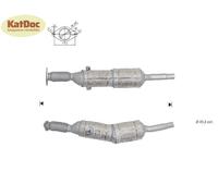 ✅ Ruß-Partikelfilter Renault Grand Scenic/Megane/Scenic, 2.0 dCi,Silizium,Euro 5