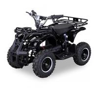 RV-Parts Pocketquad Miniquad Quad Kinderquad Quad Pocketbike 800w Schwarz RV- Racing