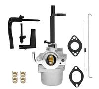 RYTIME Vergaser kompatibel mit Briggs & Stratton 591378 697978 796321 796323 696132 696133 796322 697351 699958 69996 698455 69996 5918 694952, 695919, 695328, 695330, 695920