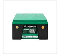Saftkiste 300Ah LiFePO4 Lithium Batterie Wohnmobil DualBMS mit App - Batteriepole oben - 0% Mwst. (Angebot gemäß § 12 Abs. 3 UstG)