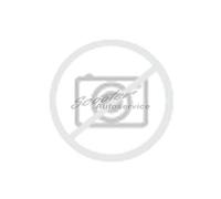 Sailun Ice Blazer Alpine Plus WSL-3 3PMSF Winterreifen 205/60 R16 92H | 14961