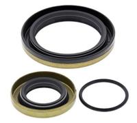 Satz Simmerringe Kurbelwelle ALL BALLS 24-2006 SM EC MC E E RACING RACING REPLIC