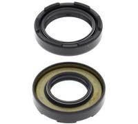 Satz Simmerringe Kurbelwelle ALL BALLS 24-2023 YZ WR IT DT Z crankshaft oil set
