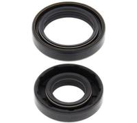 Satz Simmerringe Kurbelwelle ALL BALLS 24-2032 KX (KXF) (KXG) (KXH) (KXJ) (KXK)