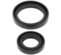 Satz Simmerringe Kurbelwelle ALL BALLS 24-2035 RM STD WHEELS 17/14 BIG WHEELS 19