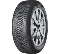 175/65 R14 82T Sava All Weather Ganzjahresreifen