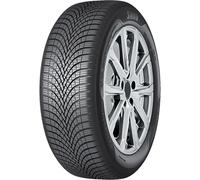 Sava All Weather 195/65 R15 91H