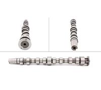 SCHAEFFLER INA Nockenwelle 428017210 für VW