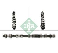 INA | Nockenwelle | 428 0196 10