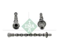 INA Nockenwelle 428 0168 10 – für Peugeot, Fiat, Citroën, Ford, Volvo, Lancia