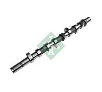 INA Nockenwelle 428 0163 10 – passend für Renault, Dacia, Nissan