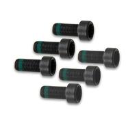 1x Schraube für Schwungrad für VW T5 N90665001 WHT009773 M10x1x22,3