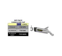 Schalldämpfer ARROW Slip-On Indy-Rennen Aluminium für Kawasaki 1000 Ninja Links