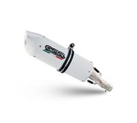 Schalldämpfer Slip-On GPR Albus Evo4 für Kawasaki 1000 Ninja SX 2020-2020