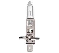 Scharnberger+Hasenbein Autolampe Halogen H1 17042