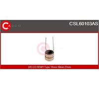 Schleifring, Generator