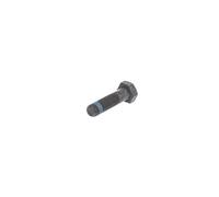 Schraube, Bremssattel ATE 13.8190-0242.1 MERCEDES-BENZ