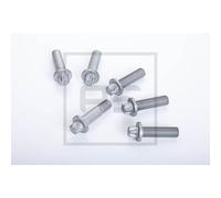 Schraube, Bremssattel PETERS 296.004-00A