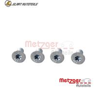 SCHRAUBE BREMSSCHEIBE 11663K FÜR RENAULT MEGANE/III/Grandtour/Hatchback/Coach