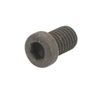 Schraube, Bremsscheibe DELPHI BGK011