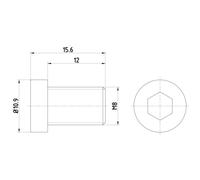 Schraube, Bremsscheibe TEXTAR TPM0009