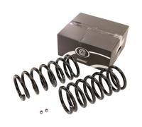 Schraubenfedern VA Austauschschraubenfedern für die Vorderachse 001.EC241